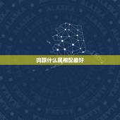 狗跟什么属相配最好，属狗的人和什么属相相配最好