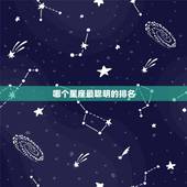 哪个星座最聪明的排名 最聪明的星座排行(2)