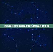 西天取经它有份就是爱打不爱骂是什么生肖，西天取经它有份就是爱打不爱骂猜