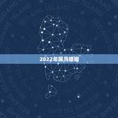 2022年属马婚姻，78年属马44岁以后财运
