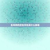 生肖狗的终生伴侣是什么属相，什么生肖和狗最好