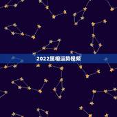 2022属相运势视频，属羊人2022 年全年运势