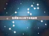生肖猪2022年下半年运势，2021属猪人全年运势