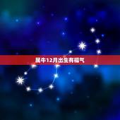 属牛12月出生有福气，属牛农历几月出生最有福