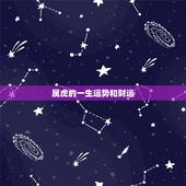 属虎的一生运势和财运，生肖虎一生运势