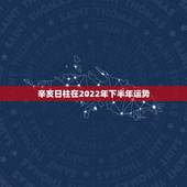 辛亥日柱在2022年下半年运势，丙寅日柱在2022