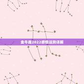 金牛座2022感情运势详解，金牛座2021年感情运势塔罗牌