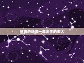 属狗的是哪一年出生的多大，生肖属狗是哪一年出生的