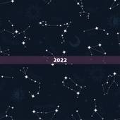 2022 年牛宝宝男孩取名，牛年出生宝宝取名大全