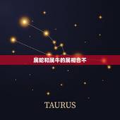 属蛇和属牛的属相合不，属蛇的和属牛的配吗 详细