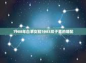 1988年白羊女和1983双子男的婚配，双子男和白羊女配吗？