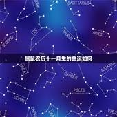 属鼠农历十一月生的命运如何，属鼠几月出生好