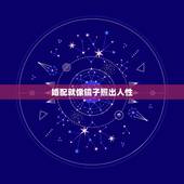 婚配就像镜子照出人性，我觉得每个镜子照出来的人都不一样，只有我有这种感