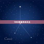 1993年金木水火土，1993年五行属水还是金