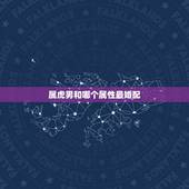 属虎男和哪个属性最婚配，男属虎的人给什么属相的人能结婚