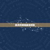 属虎的婚姻最佳搭配，属虎的最佳配偶