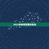 2023年结束旧爱的生肖 2023年忘不了旧爱的生肖男