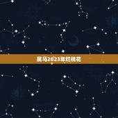 属马2023年烂桃花，属马的人今年2023年为什么这么倒霉？