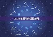2022年属牛的运势如何，属牛的明年运势如何啊，合适向哪个方面发展