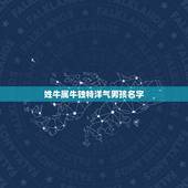 姓牛属牛独特洋气男孩名字 属牛男孩名字最佳字