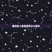 属虎的人家里适合什么摆件，属虎的人家里适合放什么植物