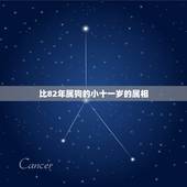 比82年属狗的小十一岁的属相，82年属狗的比86年属虎的大几岁
