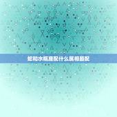 蛇和水瓶座配什么属相最配，属蛇的水瓶座和属蛇的处女座配吗？