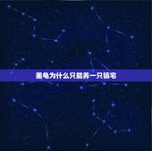 墨龟为什么只能养一只镇宅，家养镇宅龟养墨龟好还是金线好或是银线好，养几