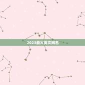 2023最火英文网名，少见又好听，有个性的英文名，名字带有彤的。