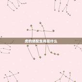 虎的绝配生肖是什么，老虎跟什么生肖绝配