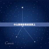 什么属相容易逆流而上，鲤跃龙门，谈何容易，未够斤两，勿轻试，跳跃奔腾，