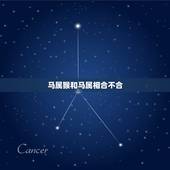 马属猴和马属相合不合，属马和属猴的合不合
