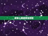 属猪人婚姻更佳搭配，属猪和12生肖终极配对