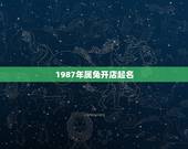 1987年属兔开店起名，87年兔开店起名