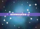 属虎的绝配生肖是哪一个，属虎和什么属好