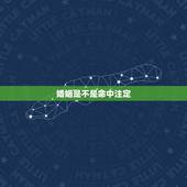婚姻是不是命中注定，婚姻是命中注定的吗