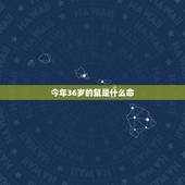 今年36岁的鼠是什么命，36岁本命鼠年要注意什么