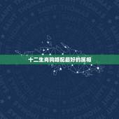 十二生肖狗婚配最好的属相，属狗的人和什么属相相配最好