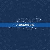 八字五行如何分析，请教如何分析八字和五行。