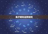 兔子明年运势如何，82年狗2022 年运势如何