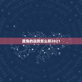 属兔的运势怎么样2021，属兔的人今年财运怎么样2021年？