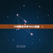 74年属虎48岁2022劫难 74年属虎女2022劫难