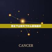 四王下山管天下什么属相最好，四王下山管天下。那个生肖最好
