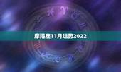 摩羯座11月运势2022，摩羯座2o14年11月运势