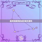 属虎和属狗的适合做夫妻吗，属狗属虎在一起好不好