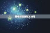 属相婚配猪和龙如何，猪和什么属相最配