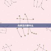 戊寅五行属什么，98属虎一生三大坎