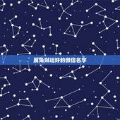 属兔财运好的微信名字，2022 年属兔的招财头像
