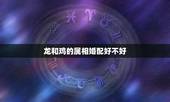 龙和鸡的属相婚配好不好，属相婚配表:属鸡的和什么属相最相配