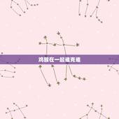 鸡猴在一起谁克谁，十二生肖里猴和鸡相克吗？